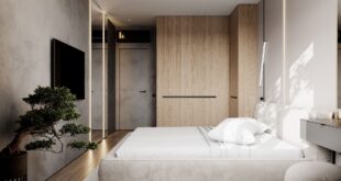 Laconic Design Apartment