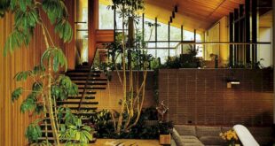 Mid Century Modern Home ideas