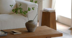 Minimalist Coffee Table