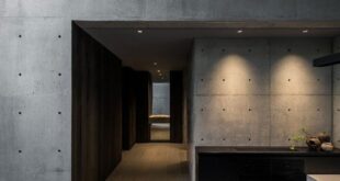 Minimalist Concrete House