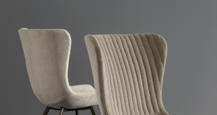 Modern Colibri Chair