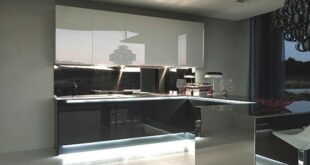 Modern Kitchen Designs Contempora