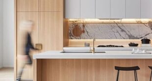 Modern Minimalist Kitchen