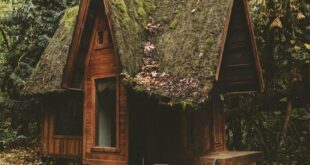 Moss Covered Cabin