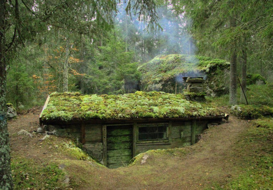 Moss Covered Cabin Enchanting Retreat Surrounded by Lush Greenery