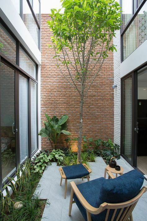 Most And Indoor Courtyards Beautiful Oasis in the Heart of Homes: The Appeal of Indoor Courtyards