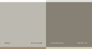 Muted Color Palette Apartment