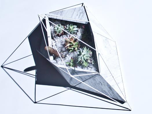 Neo Geo Terrarium Revolutionize Your Plant Care with this Innovative Tech-Inspired Terrarium