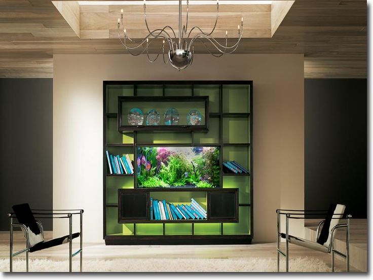 Original Aquariums In Home Transform Your Home with Unique Aquarium Designs