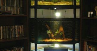 Original Aquariums In Home