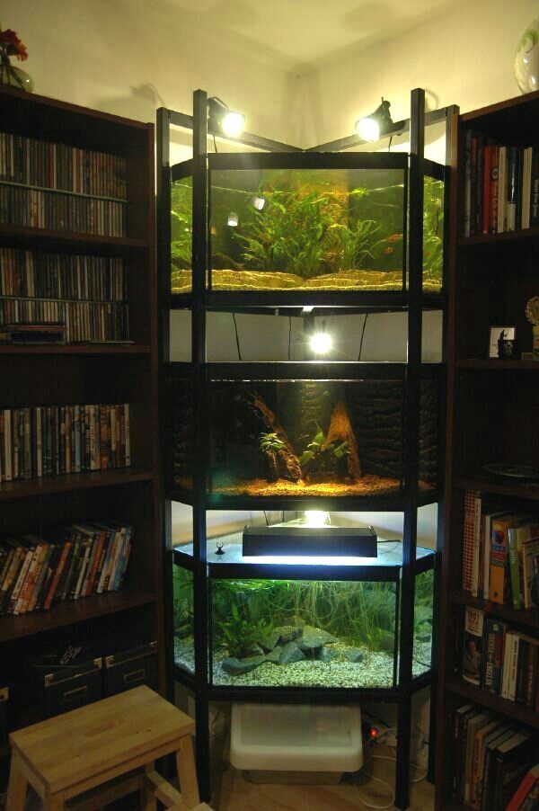 Original Aquariums In Home Unique Home Aquariums That Will Wow Your Guests