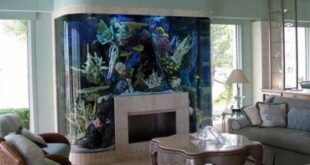 Original Aquariums In Home
