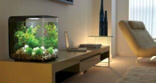 Original Aquariums In Home