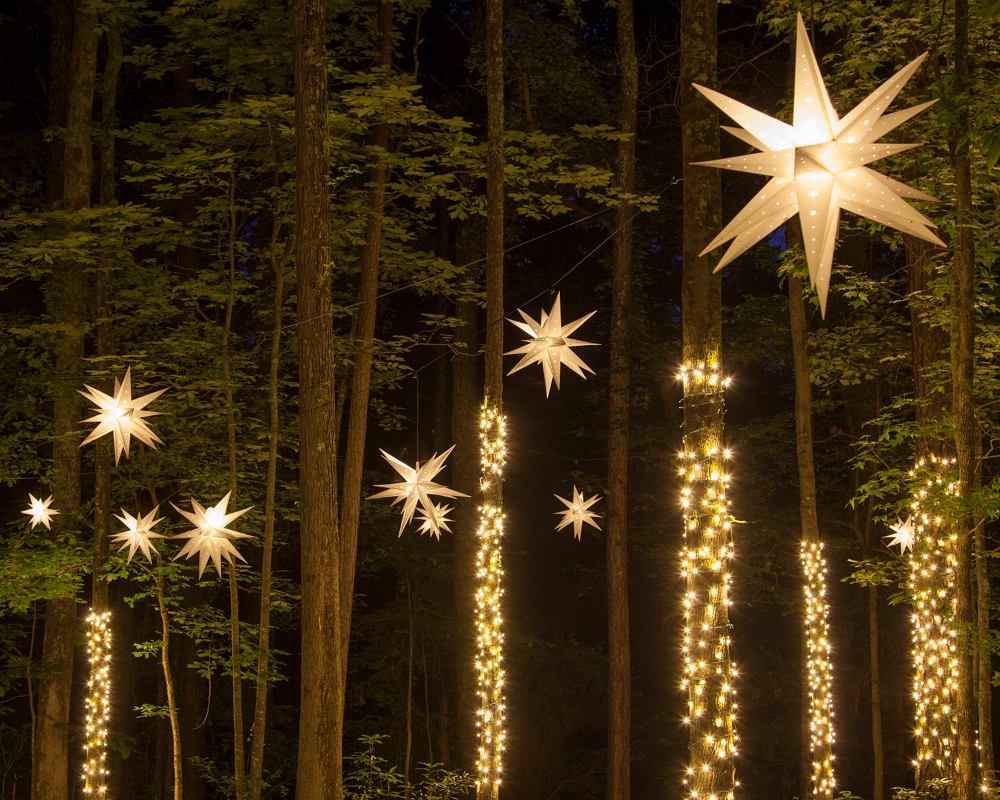 Outdoor Christmas Lights Brighten Up Your Yard with Festive Holiday Lighting