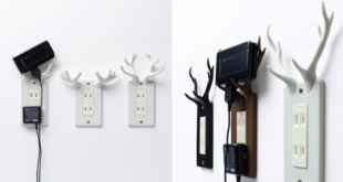 Outlets With Antlers