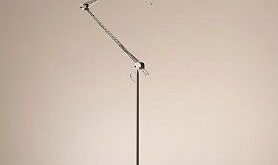 Oversized Anglepoise Lamps