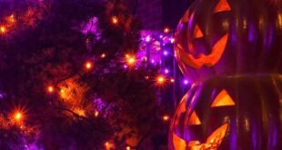 Purple Halloween Decor