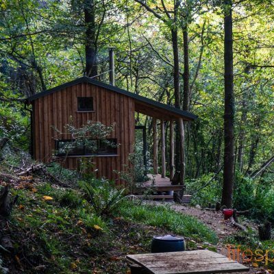 Rustic Forest Cabin Escape to a Cozy Hideaway in the Woods