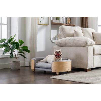 Sofa With A Dog House Innovative Furniture Solution for Pet Owners: A Sofa Featuring a Built-in Space for Your Furry Friend