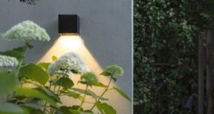 Solar Lighting Modern