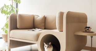 Pet Modular Sofa Pet