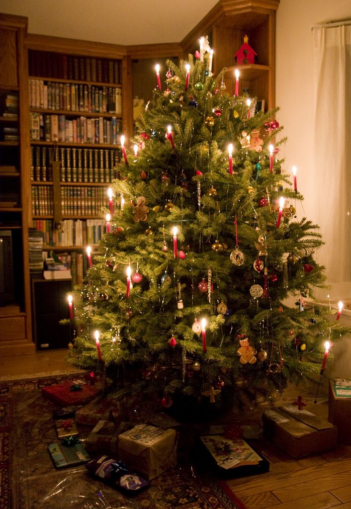 Traditional Christmas Tree Celebrate the Holidays with a Classic Evergreen Display