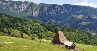 Traditional Romanian House