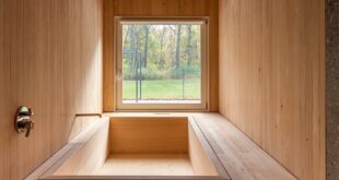 Wood Clad Interiors