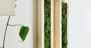 Wood Greenery And Artworks