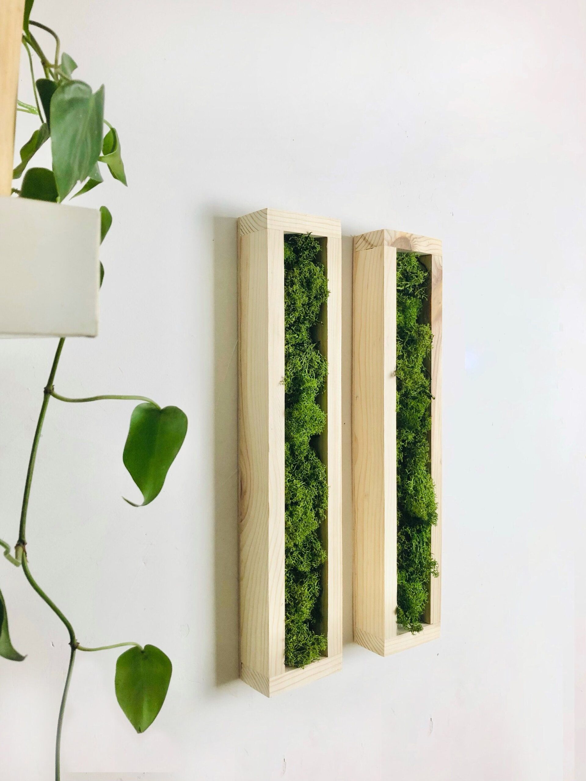 Wood Greenery And Artworks Nature-Inspired Sculptures and Paintings in a Modern Setting