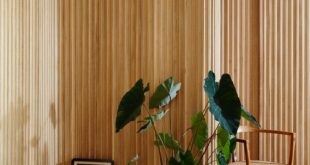 Wooden Wall Coverings