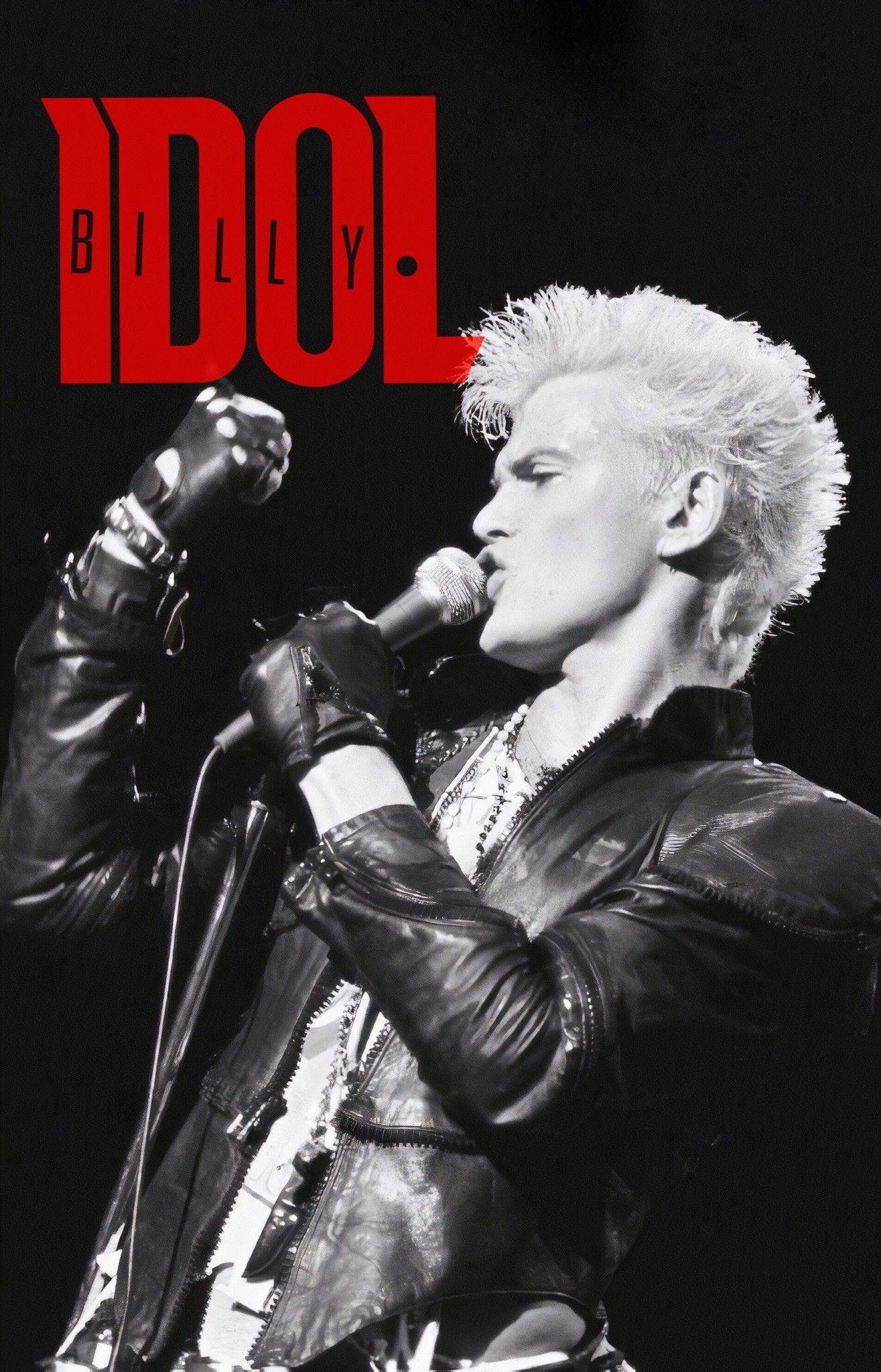 Billy Idol Charismatic Rock Star Personality