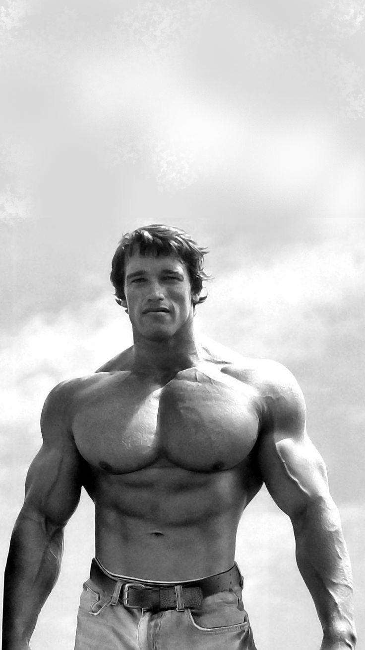 Arnold Schwarzenegger Charismatic and Determined