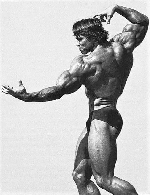 Arnold Schwarzenegger Determination and Leadership