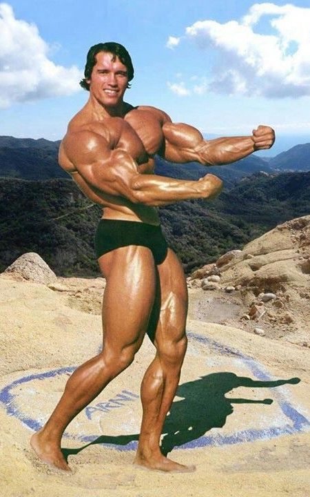 Arnold Schwarzenegger Strong Determination And Resilience