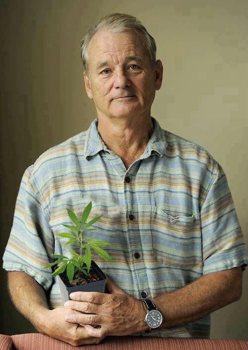 Bill Murray Charismatic and Hilarious Entertainer