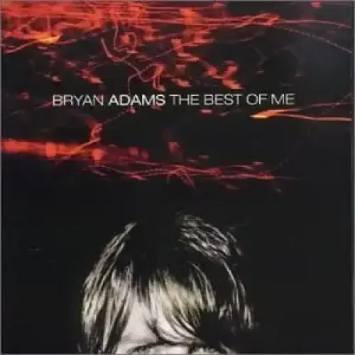 Bryan Adams charismatic presence and timeless music