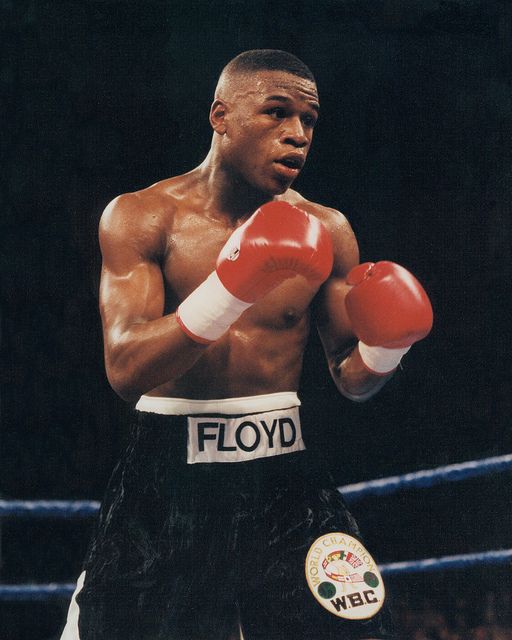 Floyd Mayweather Jr Characteristics and Success Secrets