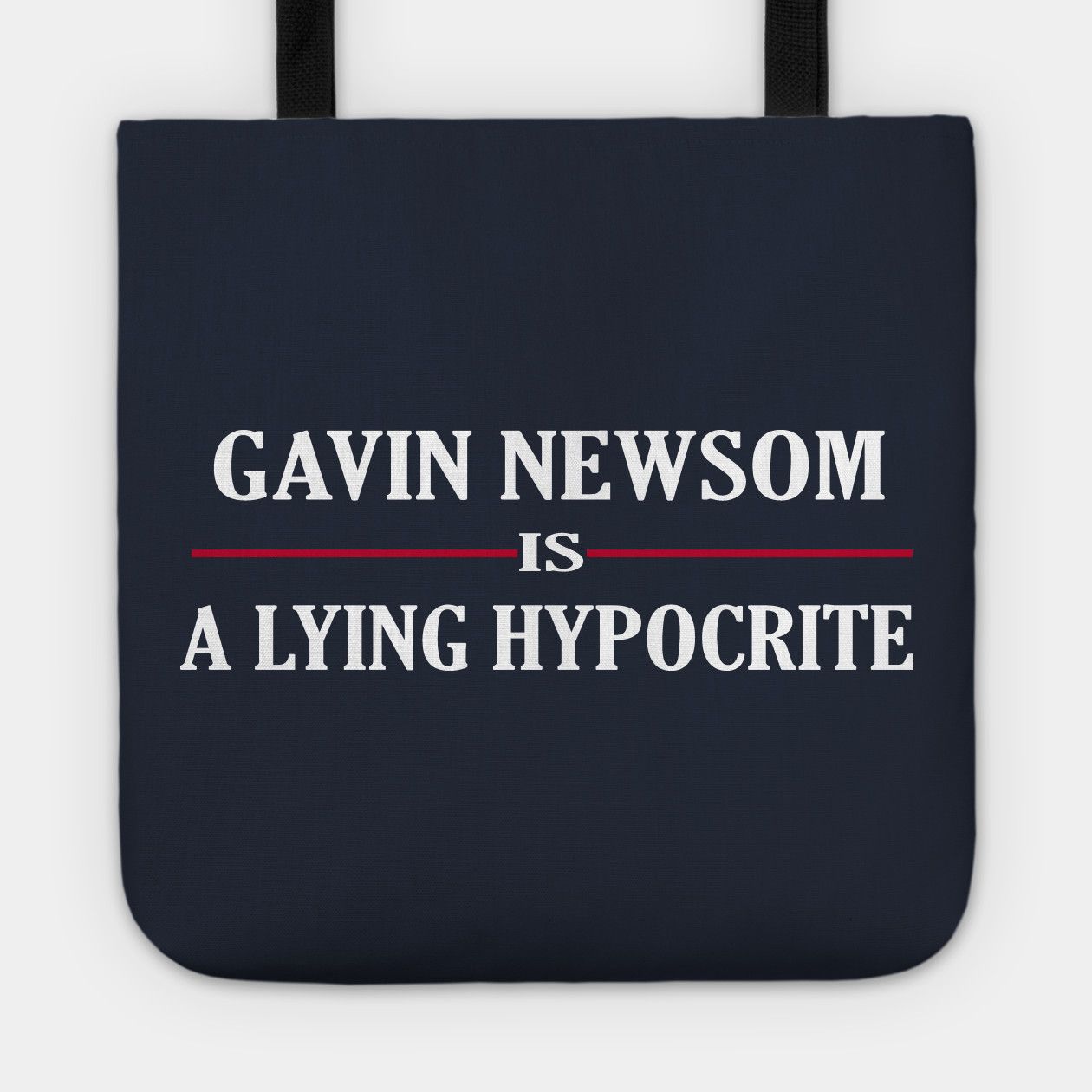 Gavin Newsom charismatic, innovative leader or totalitarian hypocrite?