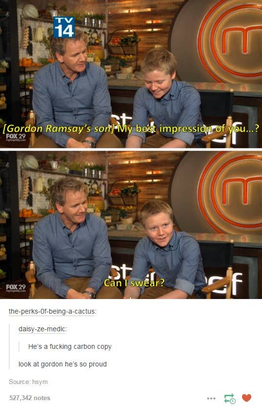 Gordon Ramsay Master of the Kitchen and Master of Tough Love