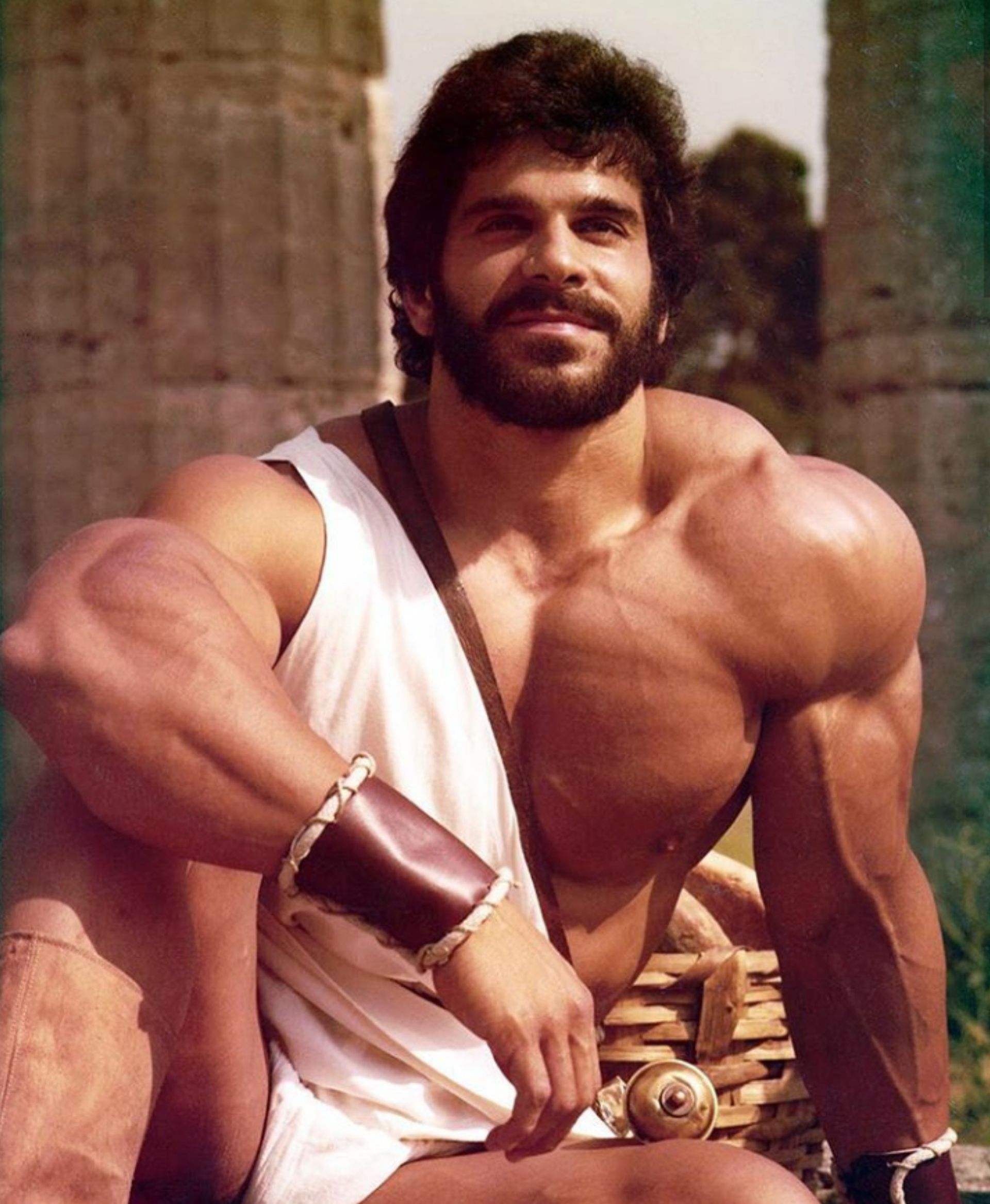 Lou Ferrigno Incredible Hulk Bodybuilder Personality and Career