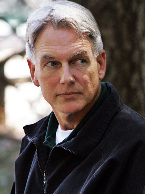 Mark Harmon Versatile Actor and Philanthropist