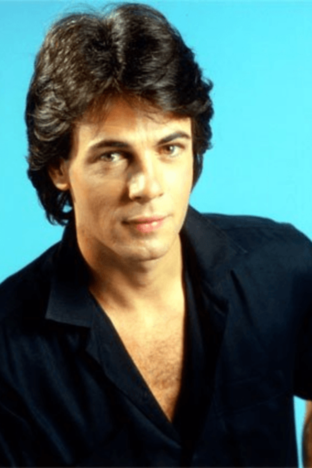 Rick Springfield Charismatic Rock Star Personality