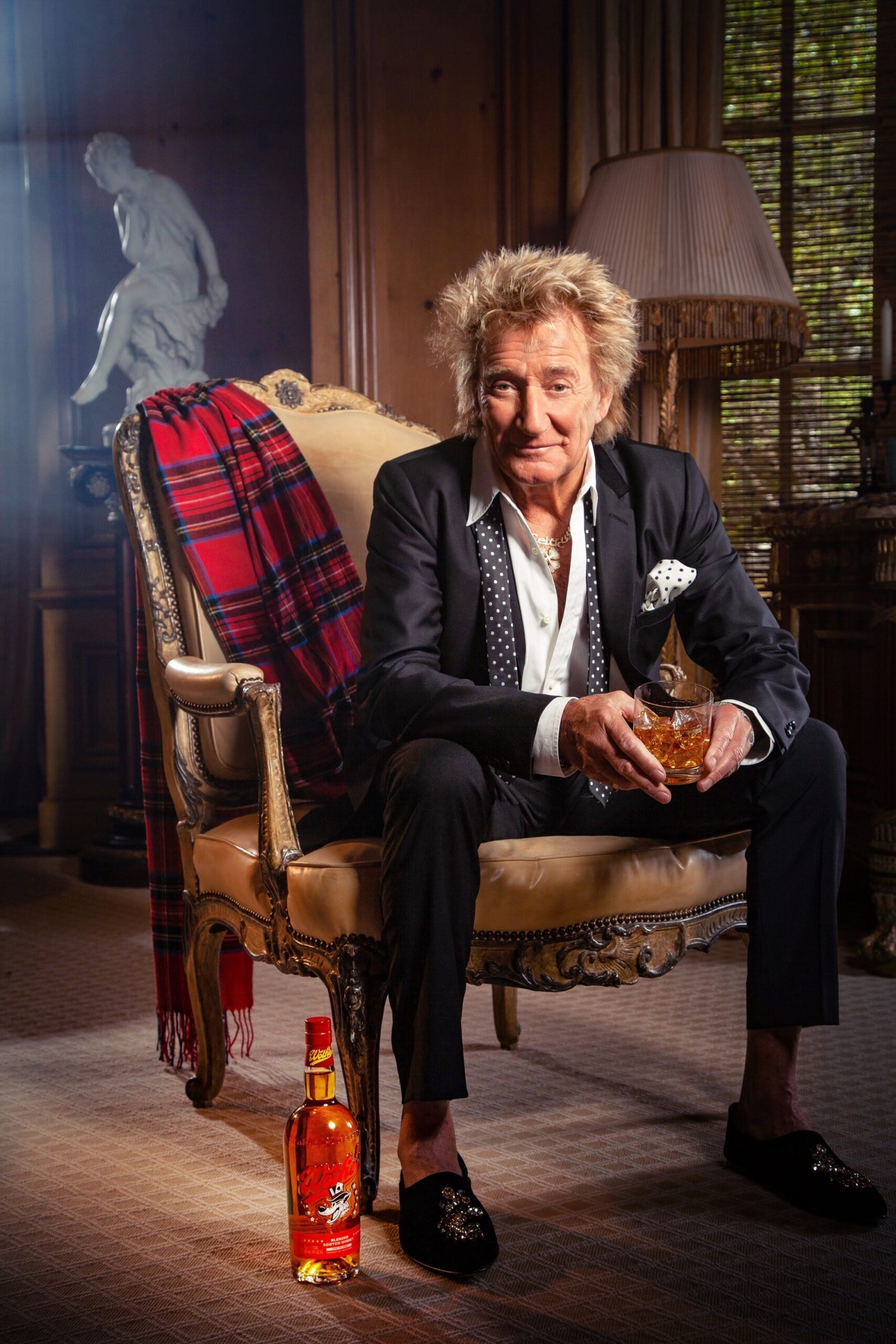 Rod Stewart Charismatic and Timeless Icon