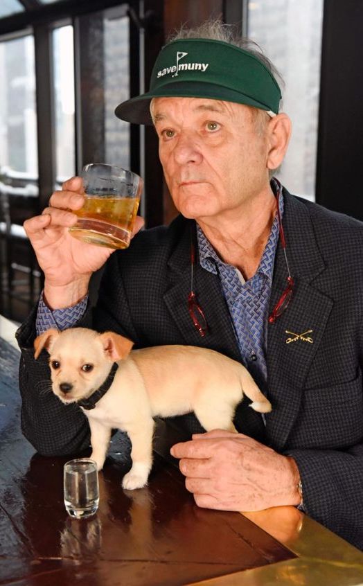 Bill Murray charisma and wit