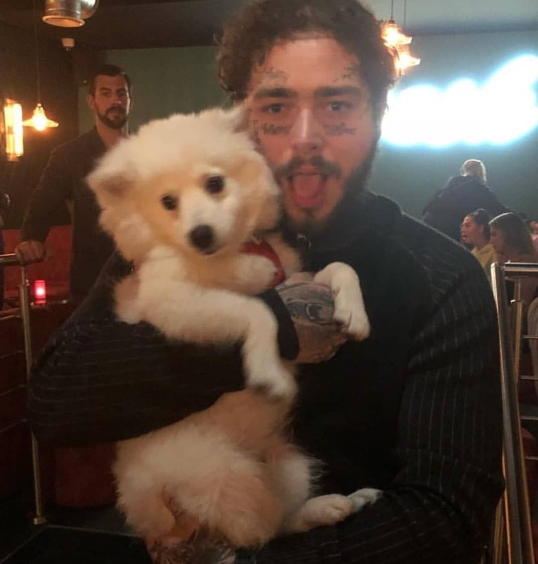 Post Malone Charismatic and Genuine Personality