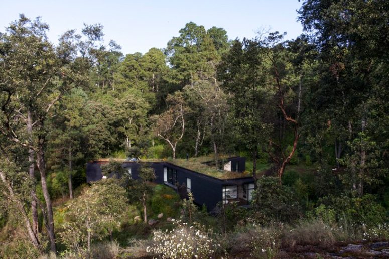 Contemporary Forest House Opened To Outdoors - DigsDi