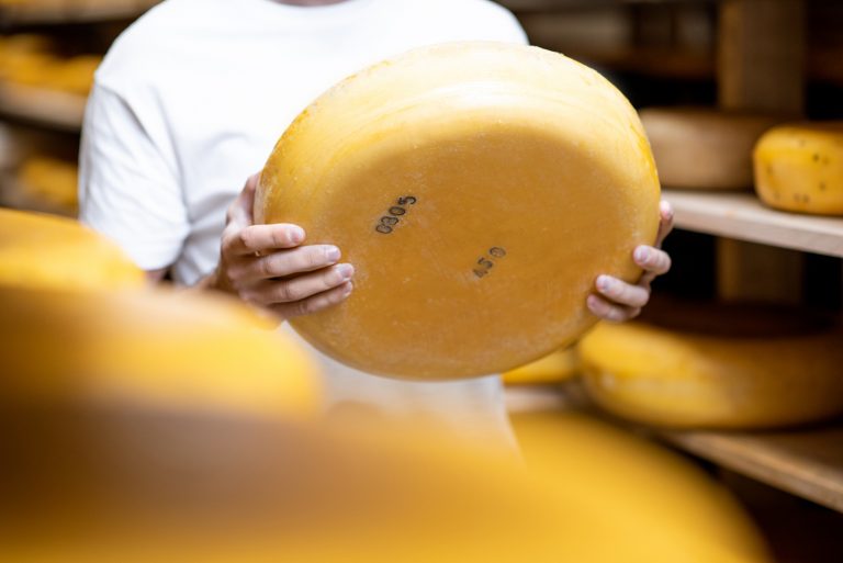 Energy derived from cheese to power Yorkshire homes | Bioenergy .