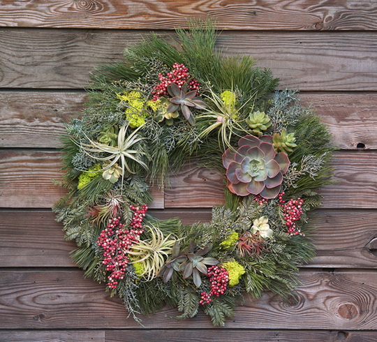 Holiday Wreaths and Tree Ornaments With Natural Plants - DigsDi