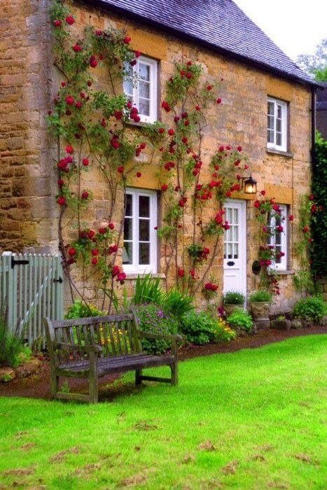 Stone cottage house covered in red flowers and vines | English .